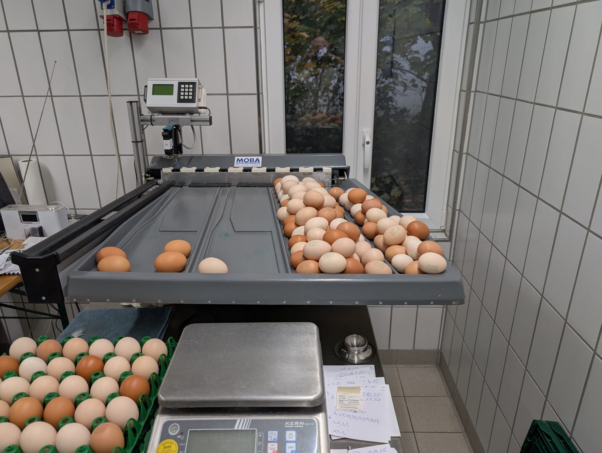 Amtlich zugelassene Packstelle – Legat Hof